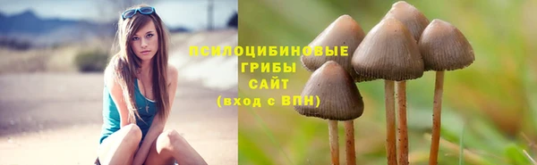 мефедрон Дмитриев